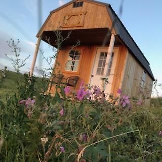Montana Old West Cabins Pensionat Babb Eksteriør billede